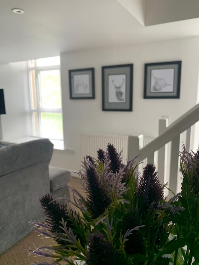 Cliffview Apartment 아브로스 외부 사진